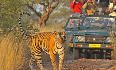 Ranthambhore National Park
