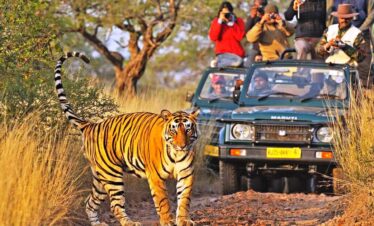 ranthambhore nartional park, ranthambhore tiger reserve,