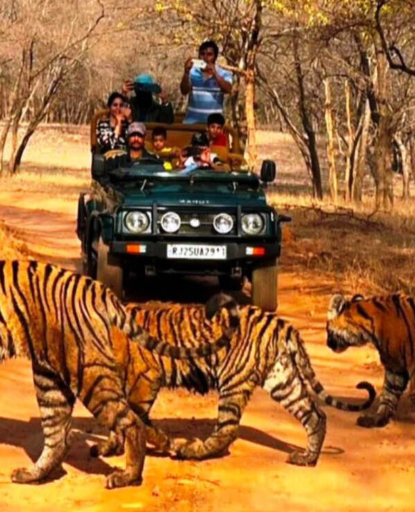 Ranthambhore National Park