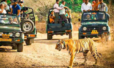 ranthambhore Sawai Madhopur