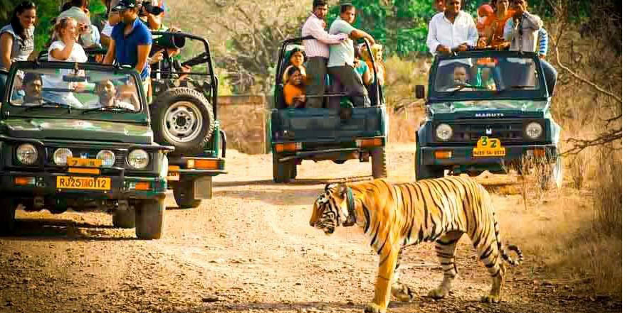 ranthambhore Sawai Madhopur